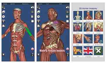 3D prikaz ljudskog tijela